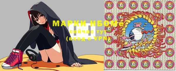индика Вязьма