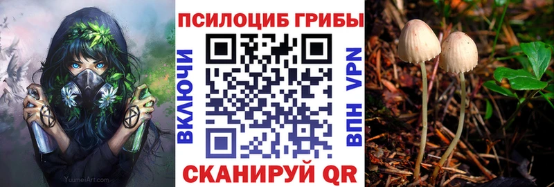 Галлюциногенные грибы ЛСД  Рубцовск 